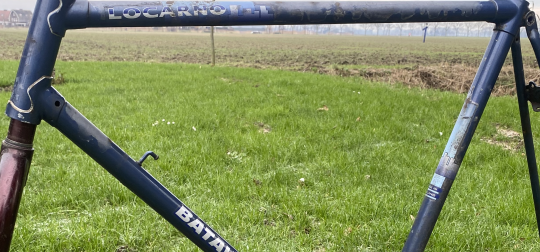 Rohloff+belt+discbrakes: gouden driehoek